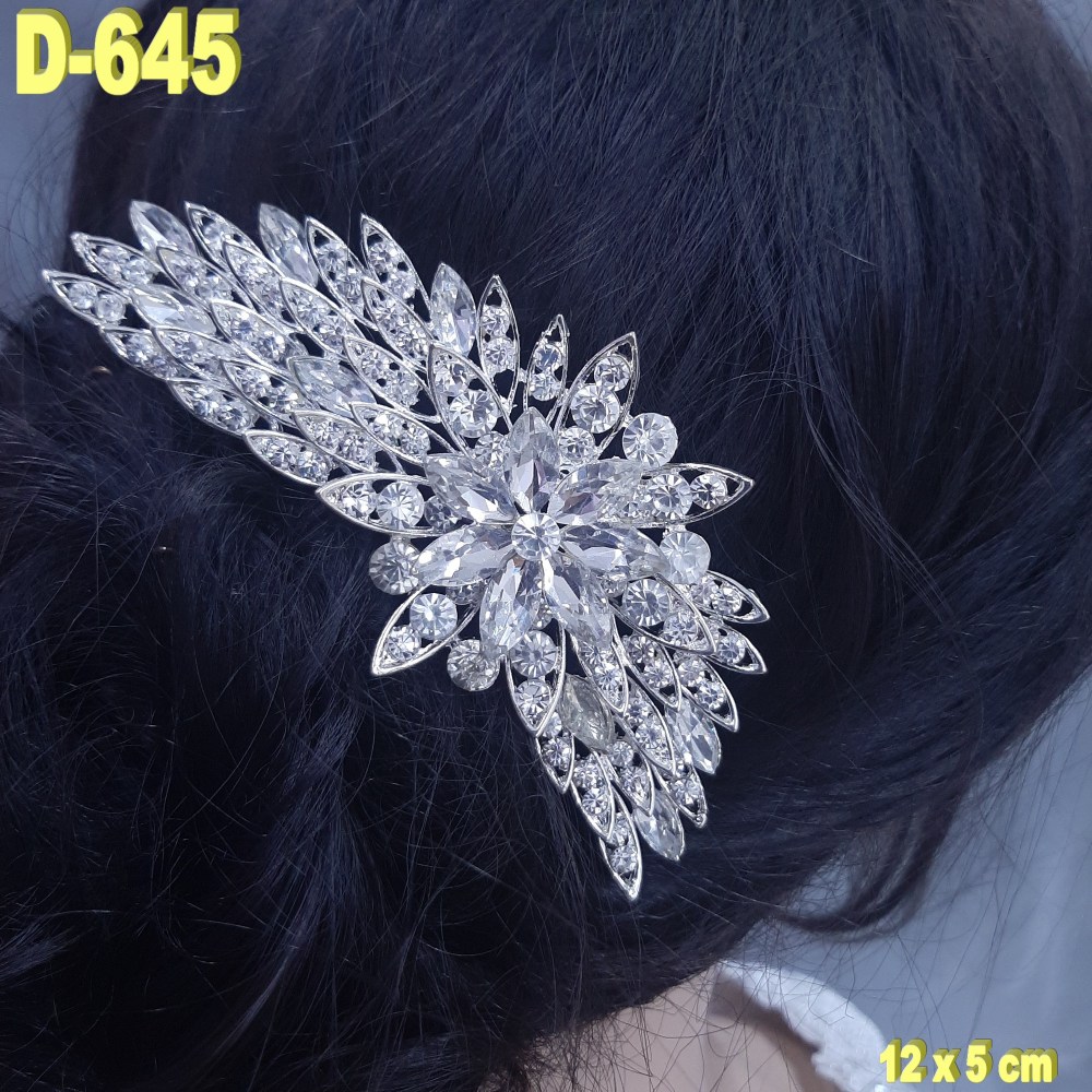 D645 (1)